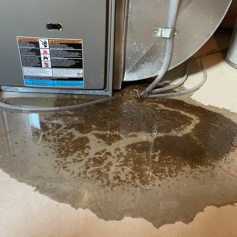 Appliance Leak Cleanup in Benzie County, MI